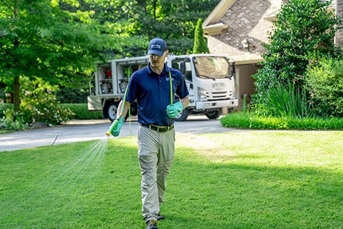 control weeds in the spring