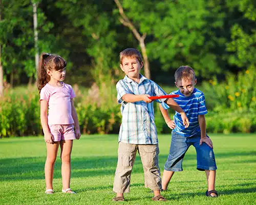 frisbee on the lawn