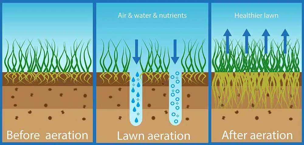 lawn aeration