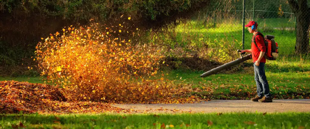 leaf blower cleaning up the yard