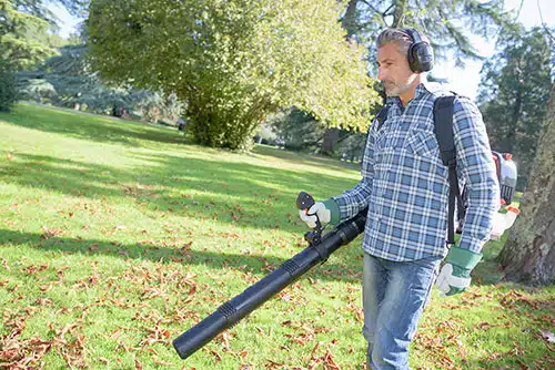 leaf blowing in the yard