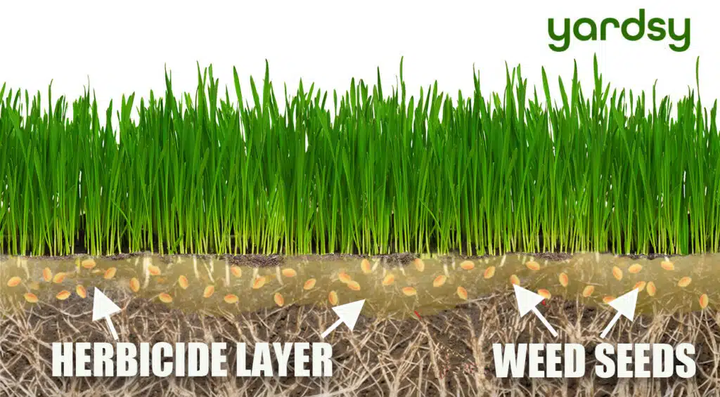 Pre-emergent herbicide