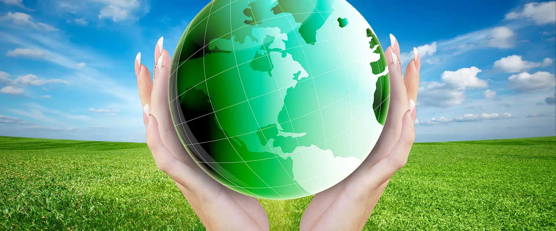 eco friendly lawn care