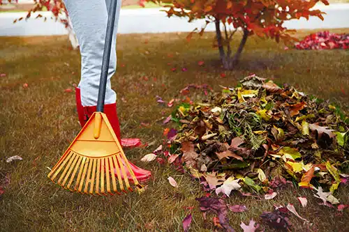 raking leaves in winter