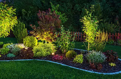 beautiful lighted garden